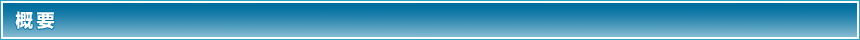 概要 概要